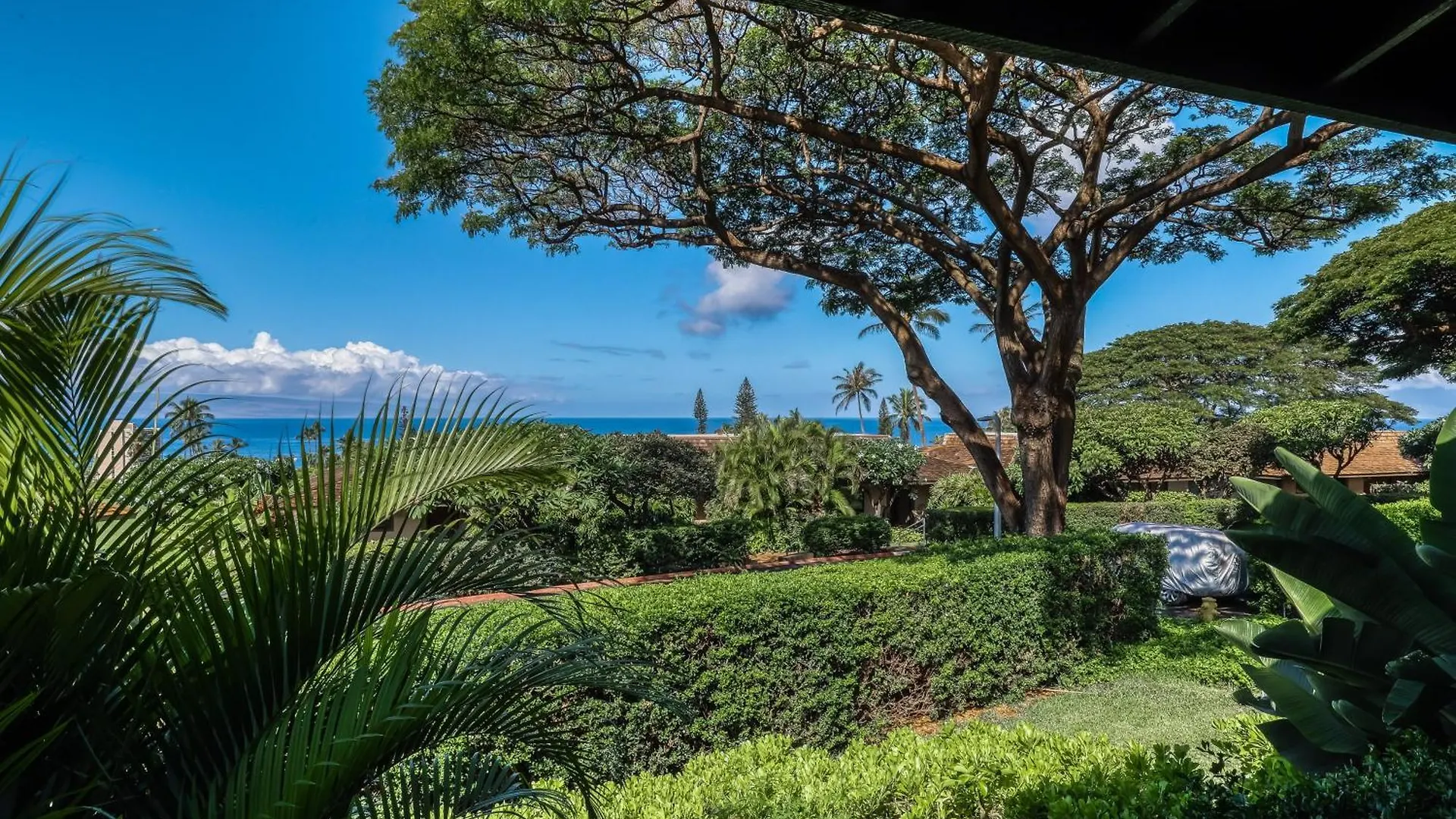 Kaanapali Plantation Condominiums 0*,